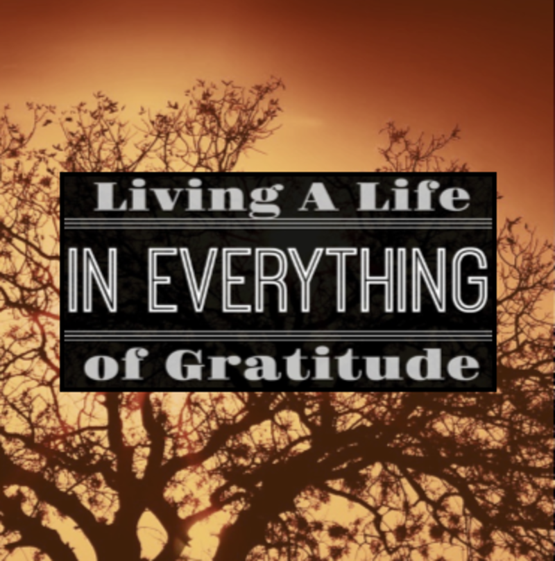 Living a Life of Gratitude